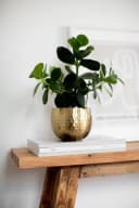 none Bild 4