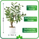 PASCH Kunstpflanze Olivenbaum künstlich klein Keramiktopf Grün Bild 4
