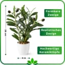 PASCH Kunstpflanze Olivenbaum künstlich klein Keramiktopf Bild 4