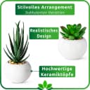 Künstliche Zimmerpflanze Sukkulenten PASCH Hochglanz-Keramiktöpfe Bild 4