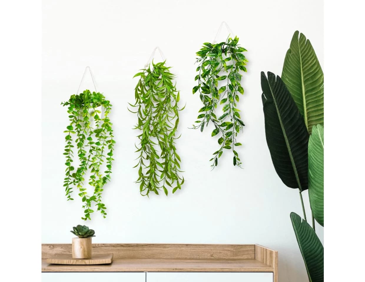PASCH Kunstpflanze hängend im Keramiktopf Efeu Eukalyptus Monstera - Bild 5