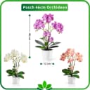 PASCH Kunstorchidee 46cm in Hochglanz-Keramiktopf Rosa Real Touch Bild 5