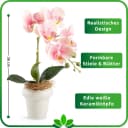 PASCH Kunstblumen im Topf mit Keramiktopf Bunt Bild 4