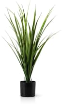 PASCH Kunstpflanze im Topf Yucca 70cm Grün Bild 2