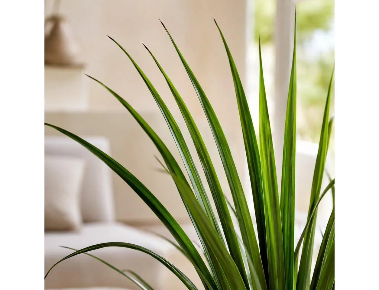 PASCH Kunstpflanze im Topf Yucca 70cm Grün - Bild 4