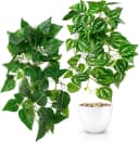PASCH Kunstpflanze Hängepflanze künstlich Efeu Monstera in bruchfestem Topf Bild 2