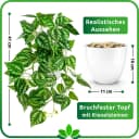 PASCH Kunstpflanze Hängepflanze künstlich Efeu Monstera in bruchfestem Topf Bild 4