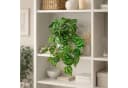 PASCH Kunstpflanze Hängepflanze künstlich Efeu Monstera in bruchfestem Topf Bild 5