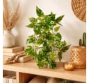 PASCH Künstliche Hängepflanze Efeu & Monstera mit bruchfestem Topf Bild 1