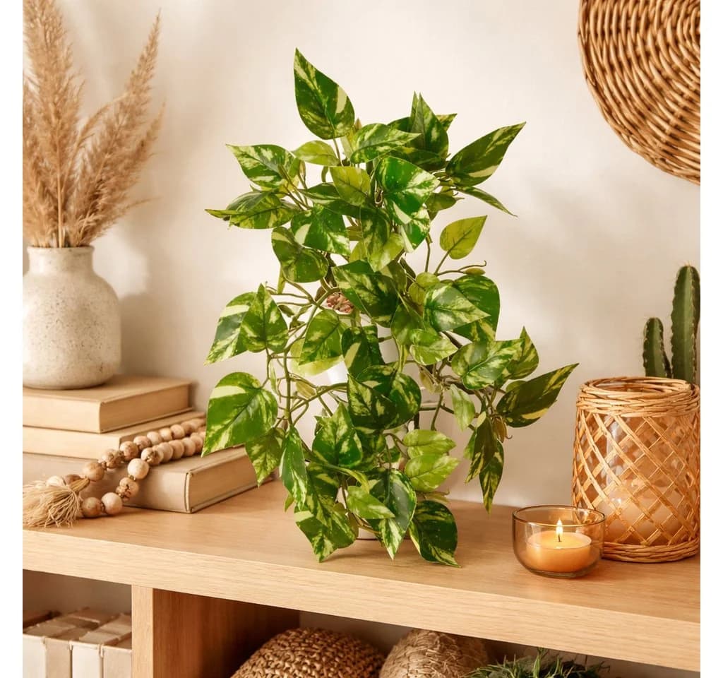PASCH Künstliche Hängepflanze Efeu & Monstera mit bruchfestem Topf - Bild 1