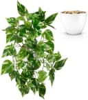 PASCH Künstliche Hängepflanze Efeu & Monstera mit bruchfestem Topf Bild 2