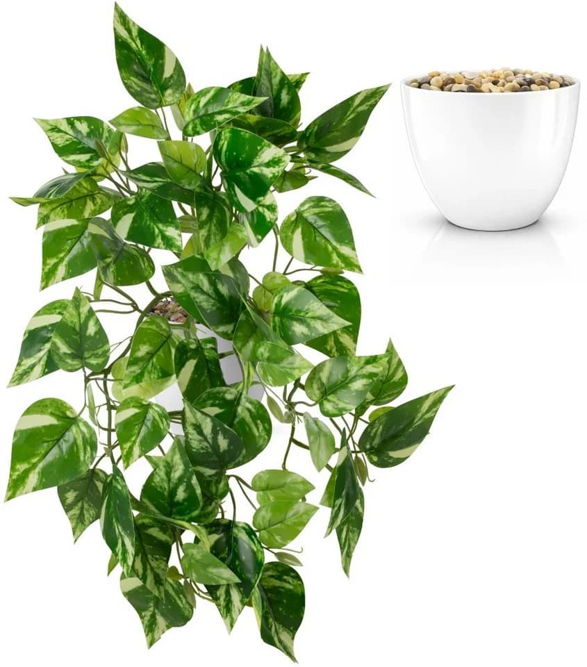 PASCH Künstliche Hängepflanze Efeu & Monstera mit bruchfestem Topf - Bild 2