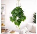 Kunstpflanze Hängepflanze Efeu Monstera in bruchfestem Topf Bild 3