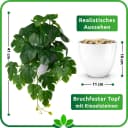 Kunstpflanze Hängepflanze Efeu Monstera in bruchfestem Topf Bild 4