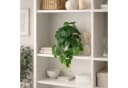 Kunstpflanze Hängepflanze Efeu Monstera in bruchfestem Topf Bild 5