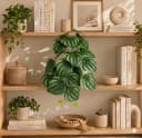 PASCH Kunstpflanze Hängepflanze Set Urban Jungle Weißer Topf Bild 1