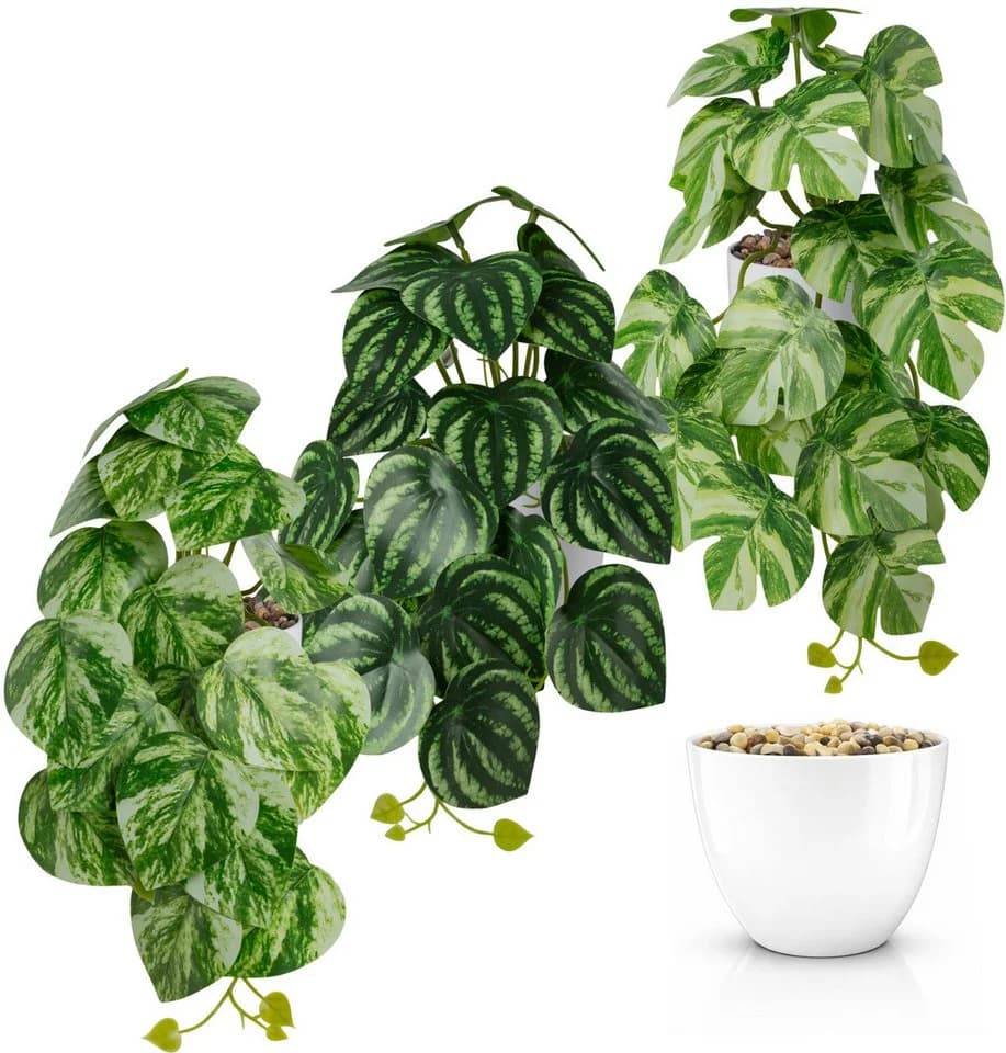 PASCH Kunstpflanze Hängepflanze Set Urban Jungle Weißer Topf - Bild 2