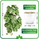 PASCH Kunstpflanze Hängepflanze Set Urban Jungle Weißer Topf Bild 4