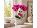PASCH Kunstorchidee Rosa Urban Stone Topf Real Touch Bild 1