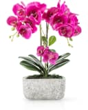 PASCH Kunstorchidee Rosa Urban Stone Topf Real Touch Bild 2