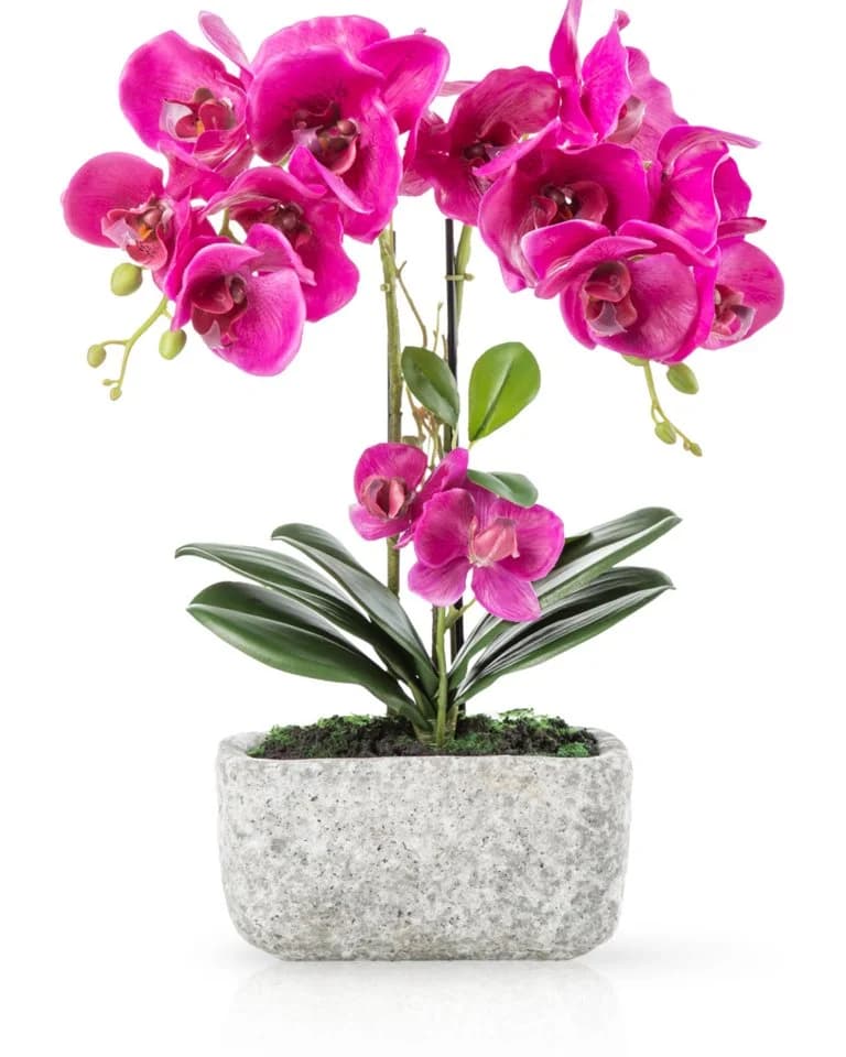 PASCH Kunstorchidee Rosa Urban Stone Topf Real Touch - Bild 2