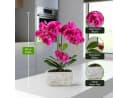 PASCH Kunstorchidee Rosa Urban Stone Topf Real Touch Bild 3