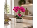 PASCH Kunstorchidee Rosa Urban Stone Topf Real Touch Bild 4