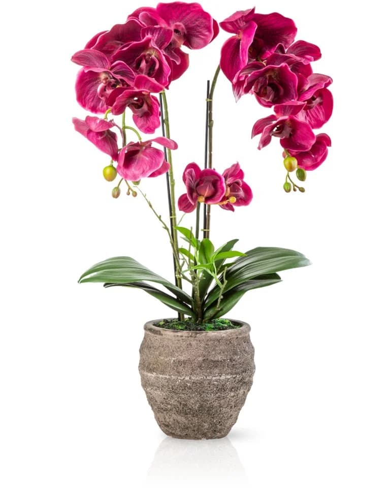 PASCH Kunstorchidee 60cm Urban Stone Topf Lila Real Touch - Bild 2
