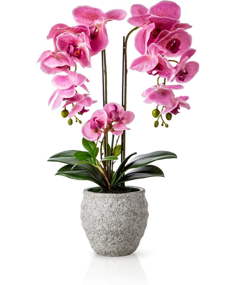 PASCH Kunstorchidee 60cm Urban Stone Topf Rosa Real Touch - Bild 2