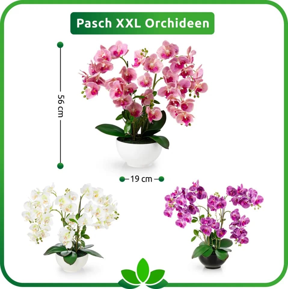PASCH XXL Kunstorchidee 56cm in Hochglanz-Keramiktopf Hellrosa - Bild 5