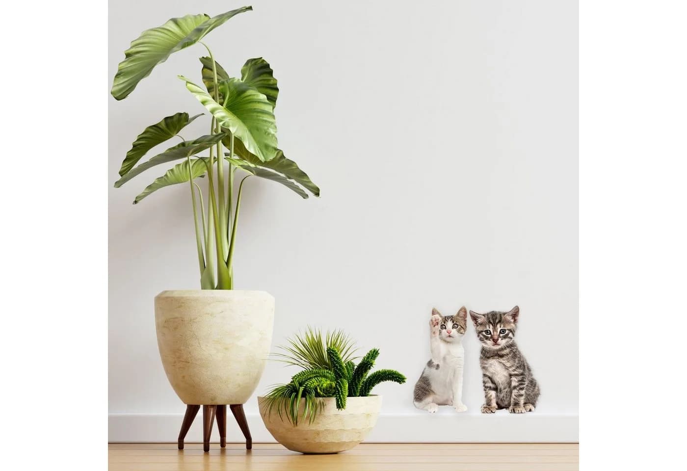 younikat Katzen-Aufkleber Braun/Grau Selbstklebende Folie - Bild 4