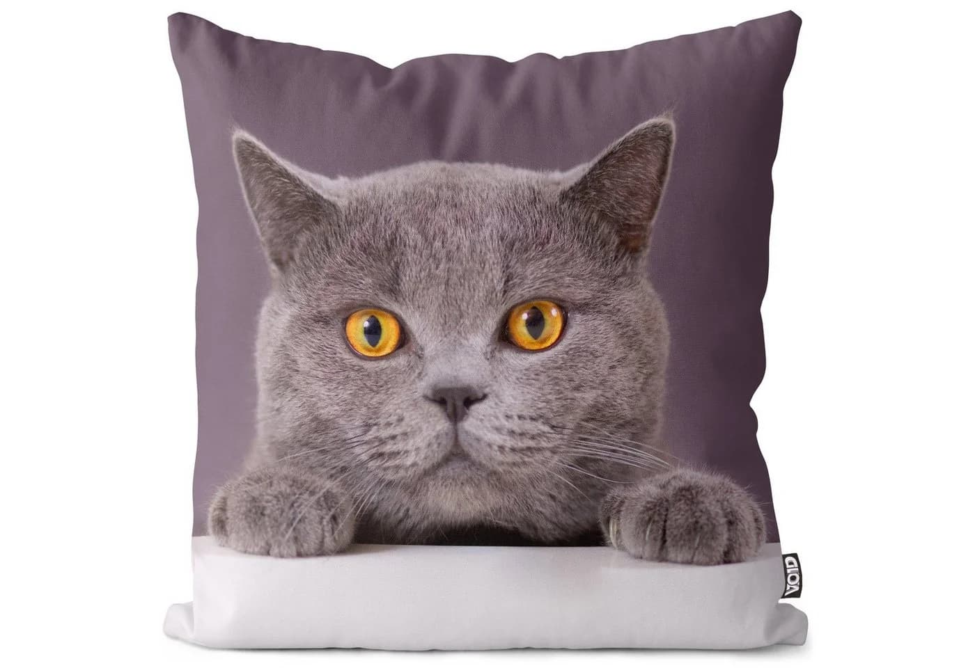 VOID Kissenbezug Katze Britisch Kurzhaar Kätzchen Tier Haustier Kart - Bild 2