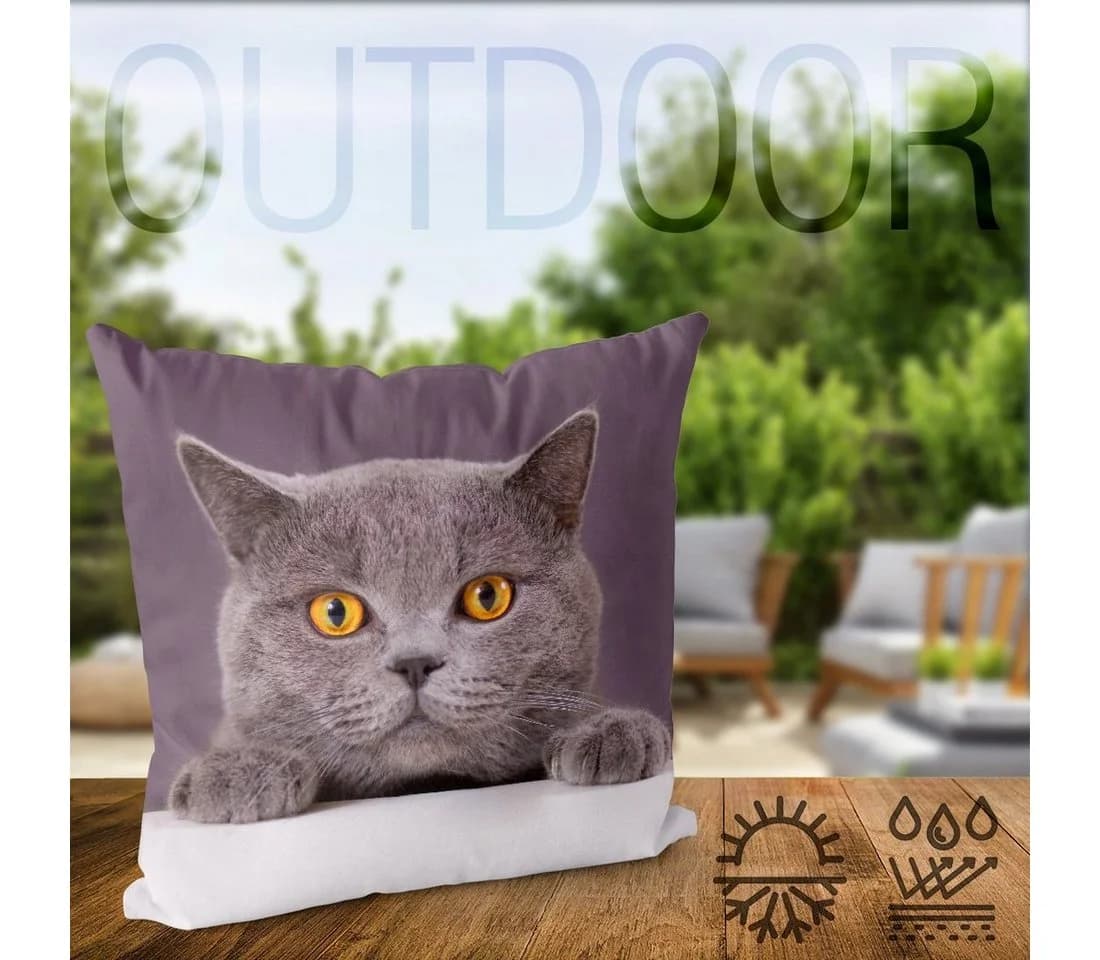 VOID Kissenbezug Katze Britisch Kurzhaar Kätzchen Tier Haustier Kart - Bild 4