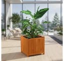Melko Blumenkasten aus Holz Braun 50cm Eckig Landhausstil Bild 2