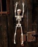 Horror-Shop Halloween Skelett 40 cm Beweglich Bild 1