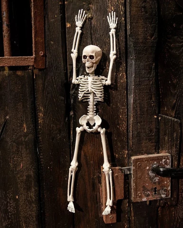 Horror-Shop Halloween Skelett 40 cm Beweglich