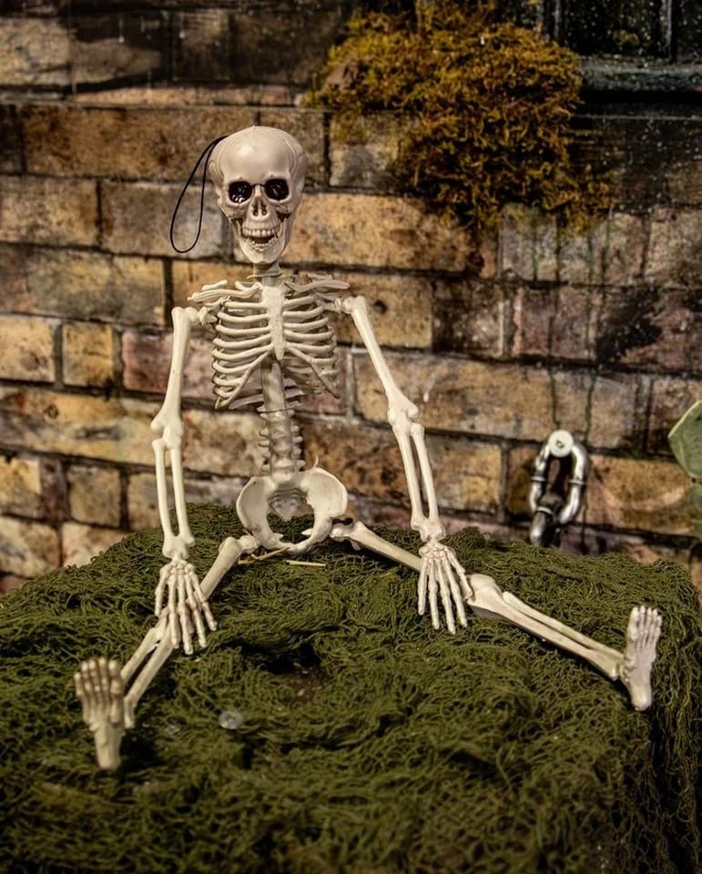 Horror-Shop Halloween Skelett 40 cm Beweglich - Bild 4