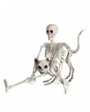 Horror-Shop Halloween Skelett 40 cm Beweglich Bild 5