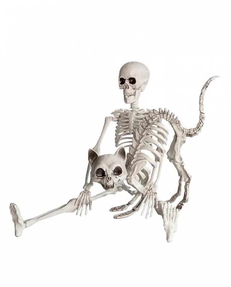 Horror-Shop Halloween Skelett 40 cm Beweglich - Bild 5