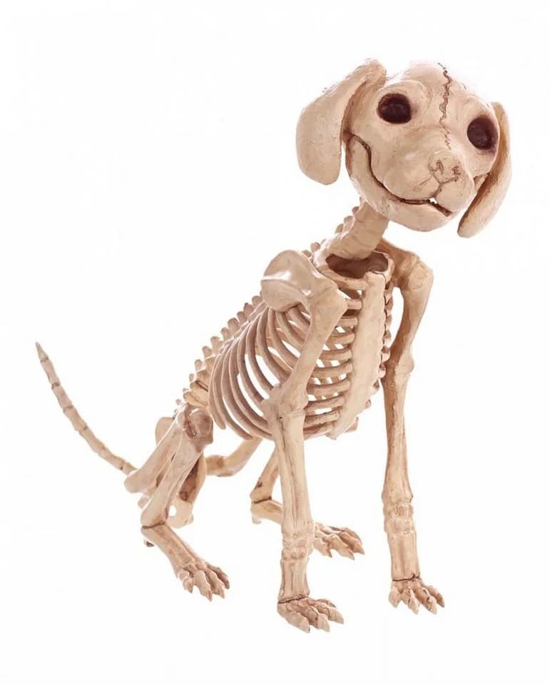 Horror-Shop Hunde Skelett Deko beige 30 cm