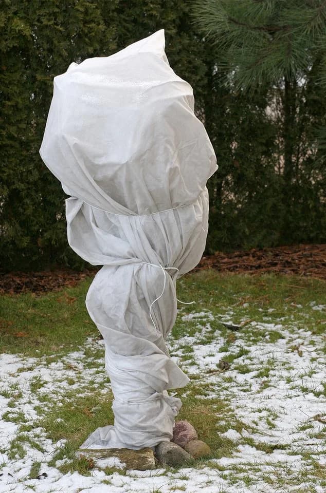 Aquagart Winterschutzvlies 10m² Frostschutz 60g weiß - Bild 3