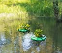 BURI Schwimmender Pflanzkübel 2er Set Grün Schwarz Gartenteich Bild 1