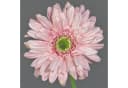 artplants Kunstblume Gerbera Helli Rosa 65cm Bild 1