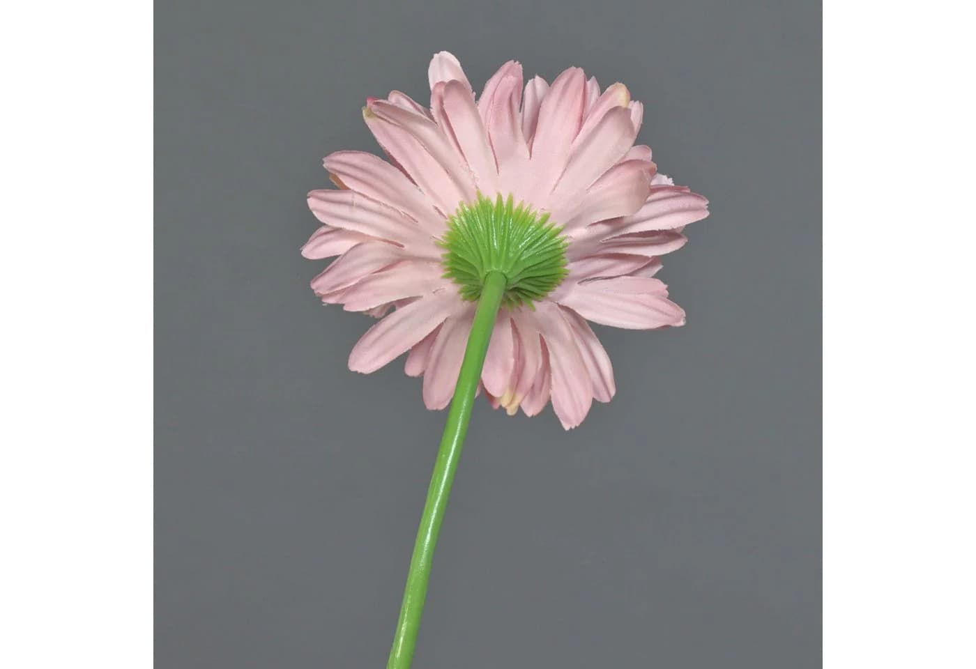artplants Kunstblume Gerbera Helli Rosa 65cm - Bild 3