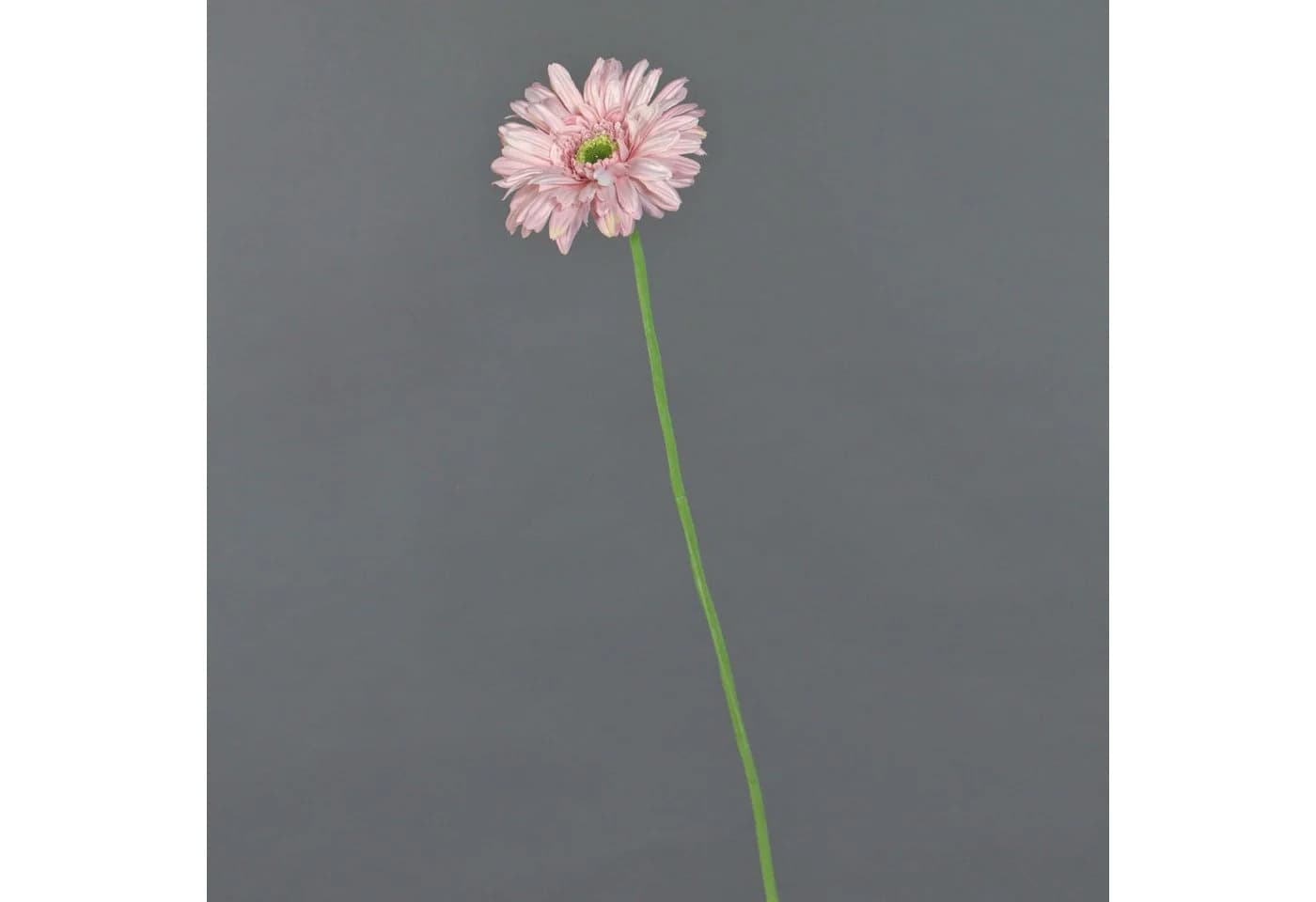 artplants Kunstblume Gerbera Helli Rosa 65cm - Bild 4