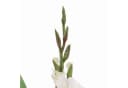 artplants Kunstblume Gladiole ELEA Weiß 80 cm Bild 3