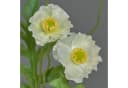 Kunstzweig Kunstblume Mohnblume Keira, Weiß, artplants Bild 1