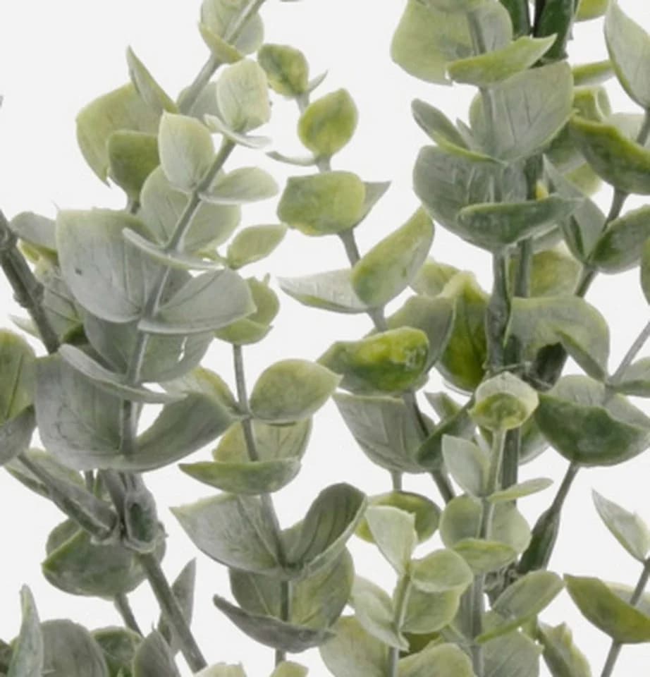 Kunstzweig Eukalyptus Noelia Grün 70cm von artplants