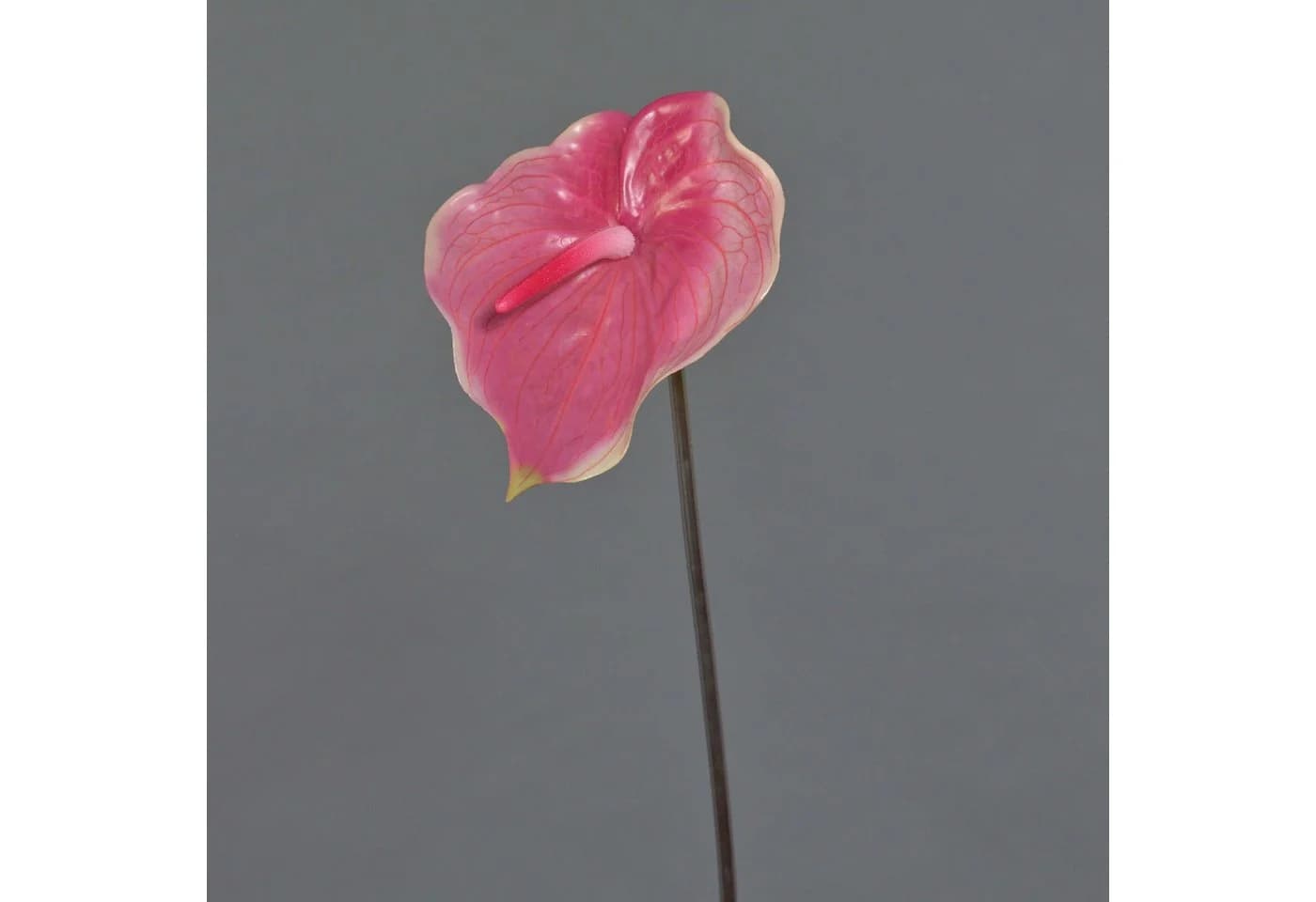 artplants Kunstblume Flamingoblume Moira pink-rosa 75cm