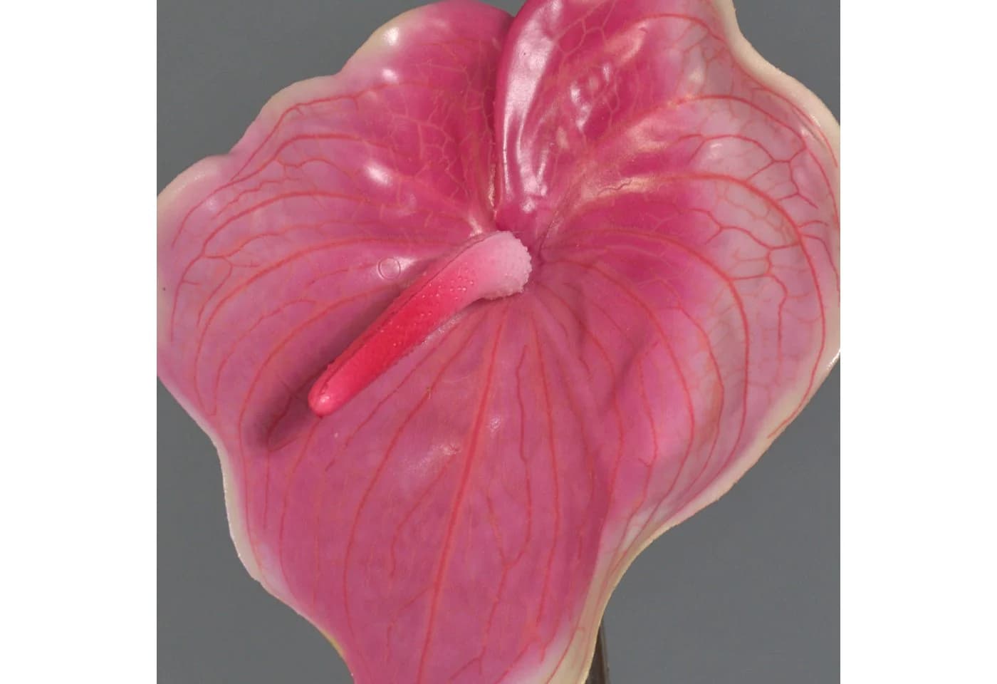 artplants Kunstblume Flamingoblume Moira pink-rosa 75cm - Bild 4
